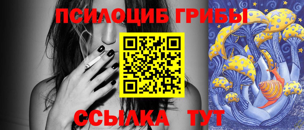 Псилоцибиновые грибы Psilocybe Анапа