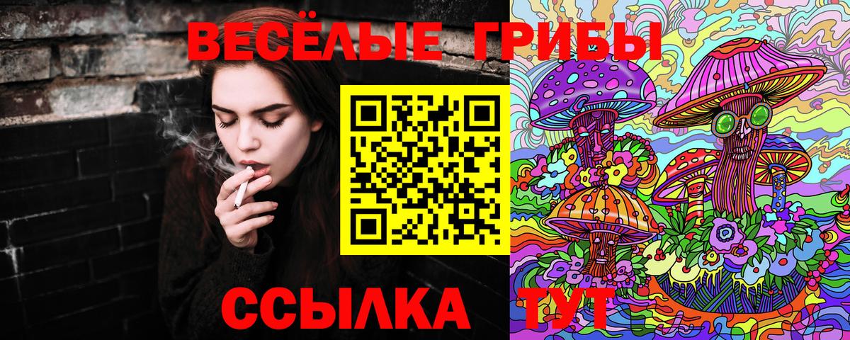 Анапа  Псилоцибиновые грибы мицелий  Вход с VPN  Псилоцибиновые грибы GOLDEN TEACHER 